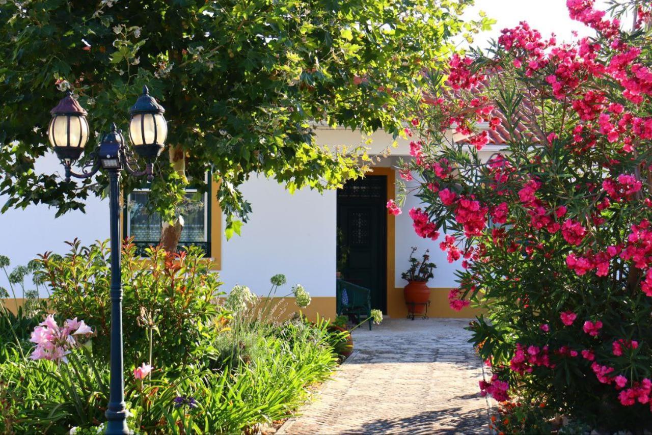 Casa Robusto Pensionat Salvaterra de Magos Eksteriør billede